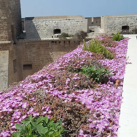 Degli Angioini Locazione Turistica Mola di Bari
